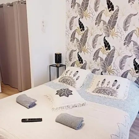 Vakantiehuis Maison Spacieuse Centre Et Plage *